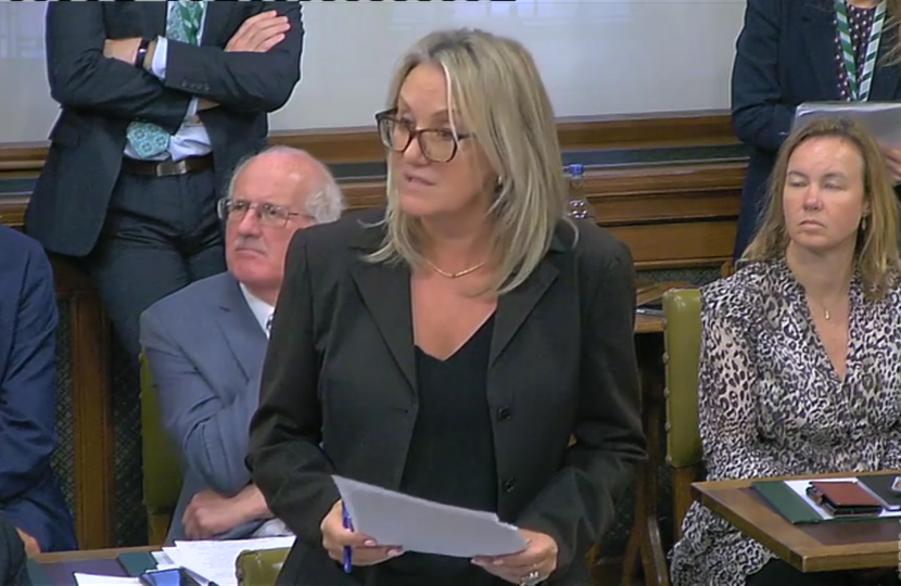 Dame Caroline Dinenage MP speaking during the Westminster Hall Debate