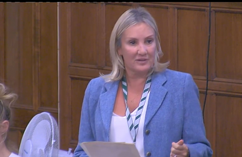 Caroline Dinenage Westminster Hall Debate